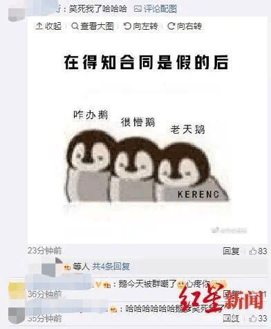 网络吃瓜视频被骗了,揭秘吃瓜视频背后的骗局