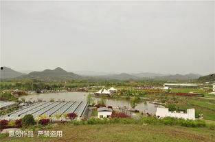 巴中市清江镇吃瓜视频,一场吃瓜盛宴，见证乡村生活新风尚