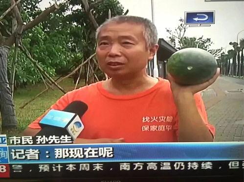 永昌吃瓜事件视频大全集,视频大全集深度解析