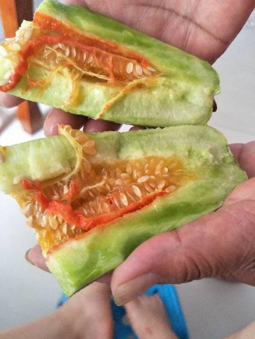面瓜该怎么切着吃视频讲解,视频教学，轻松掌握美味秘诀