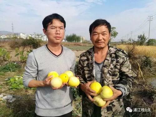 吃瓜群众动态视频下载,揭秘吃瓜群众动态视频下载背后的故事