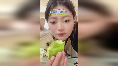 吃货吃瓜小视频,吃货们的美食盛宴