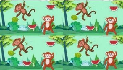 幼儿园猴子吃瓜故事视频,机智猴子巧吃瓜，趣味故事寓教于乐