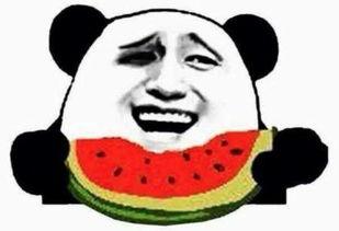 好帅吃瓜群众视频,揭秘网红视频背后的故事