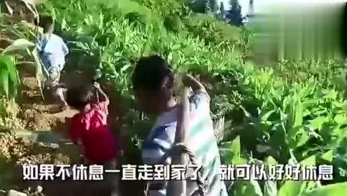 极端之家吃瓜视频大全,揭秘网络奇闻异事