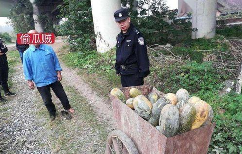 济宁十大吃瓜事件视频,盘点网络热议瞬间
