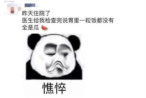 天天吃大瓜的视频,短视频平台的爆红现象解析