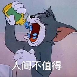 汤姆猫吃哈密瓜视频,汤姆猫的夏日哈密瓜盛宴