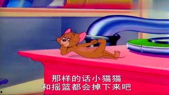 汤姆猫吃哈密瓜视频,汤姆猫的夏日哈密瓜盛宴