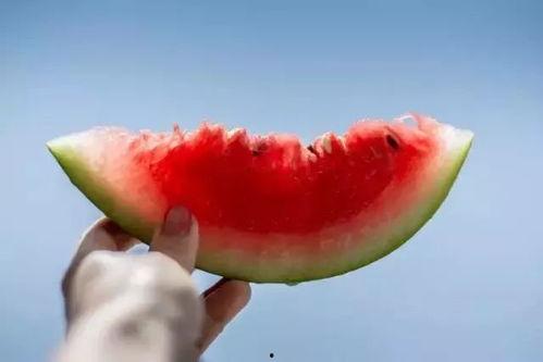 樱花玛瑙吃瓜视频文案,揭秘吃瓜视频文案背后的魅力