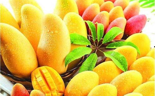 芒果大明星吃瓜视频,揭秘娱乐圈幕后真相