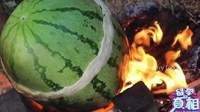 吃瓜烧烤视频在线观看免费,在线观看，美味瞬间尽收眼底