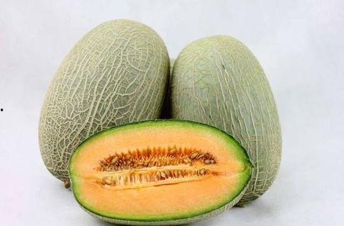 去新疆吃哈密瓜视频教程,甜蜜滋味在家享