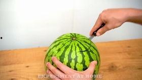 边吃瓜边做手工视频讲解,轻松愉悦的DIY视频教程