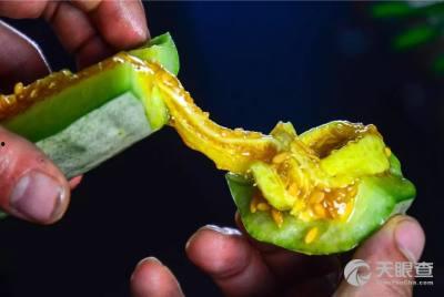 博洋吃蜜瓜视频