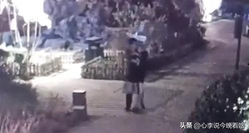 老街吃瓜群众原视频,揭秘街头巷尾的市井百态