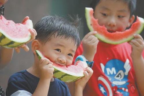 趣味吃瓜大比拼视频,一场舌尖上的欢乐盛宴