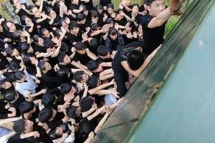 户外吃瓜活动视频,欢乐时光尽享夏日清凉