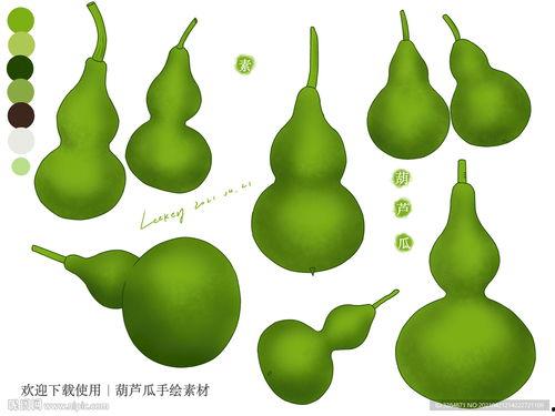 吃葫芦瓜视频素材大全图片,视频素材大全图片赏析