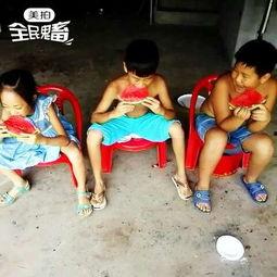 樱校吃瓜比赛视频,一场视觉与味觉的双重盛宴